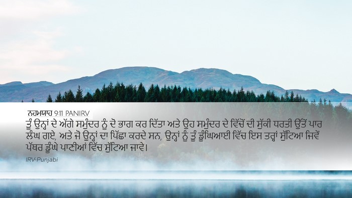 ਨਹਮਯਾਹ 9:11 PANIRV Bible Verse Image