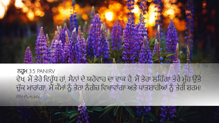 ਨਹੂਮ 3:5 PANIRV Bible Verse Image