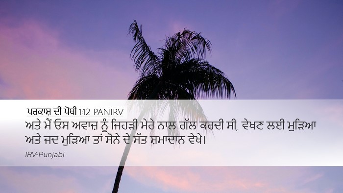 ਪਰਕਾਸ਼ ਦੀ ਪੋਥੀ 1:12 PANIRV Bible Verse Image