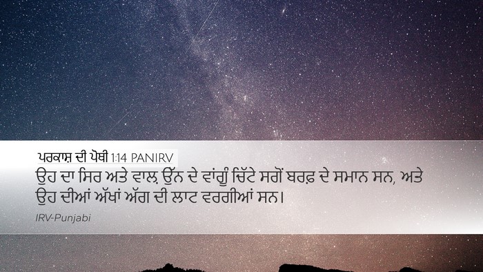 ਪਰਕਾਸ਼ ਦੀ ਪੋਥੀ 1:14 PANIRV Bible Verse Image