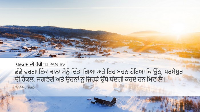ਪਰਕਾਸ਼ ਦੀ ਪੋਥੀ 11:1 PANIRV Bible Verse Image
