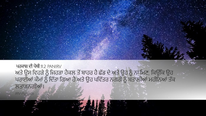 ਪਰਕਾਸ਼ ਦੀ ਪੋਥੀ 11:2 PANIRV Bible Verse Image