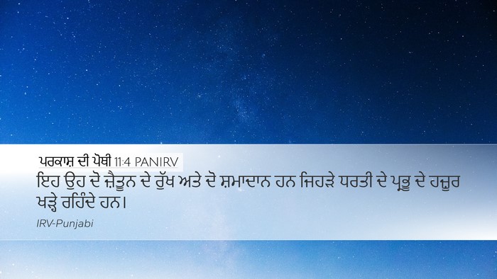 ਪਰਕਾਸ਼ ਦੀ ਪੋਥੀ 11:4 PANIRV Bible Verse Image