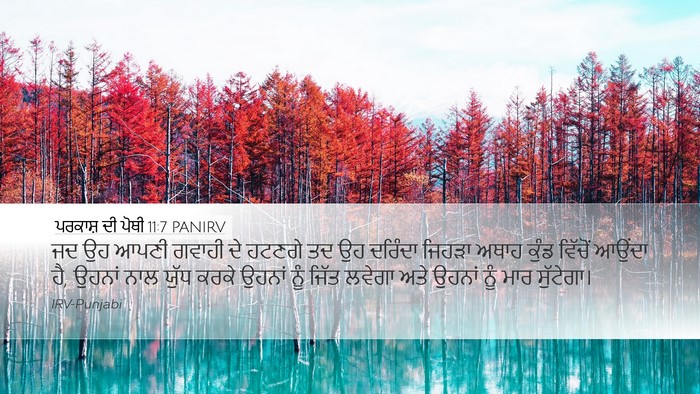 ਪਰਕਾਸ਼ ਦੀ ਪੋਥੀ 11:7 PANIRV Bible Verse Image