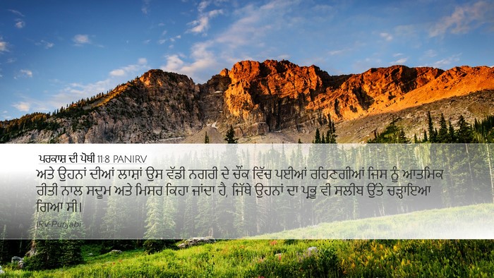 ਪਰਕਾਸ਼ ਦੀ ਪੋਥੀ 11:8 PANIRV Bible Verse Image