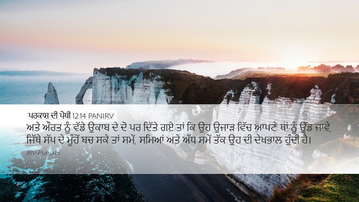 ਪਰਕਾਸ਼ ਦੀ ਪੋਥੀ 12:14 PANIRV Bible Verse Image