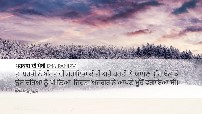 ਪਰਕਾਸ਼ ਦੀ ਪੋਥੀ 12:16 PANIRV Bible Verse Image