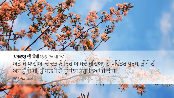 ਪਰਕਾਸ਼ ਦੀ ਪੋਥੀ 16:5 PANIRV Bible Verse Image