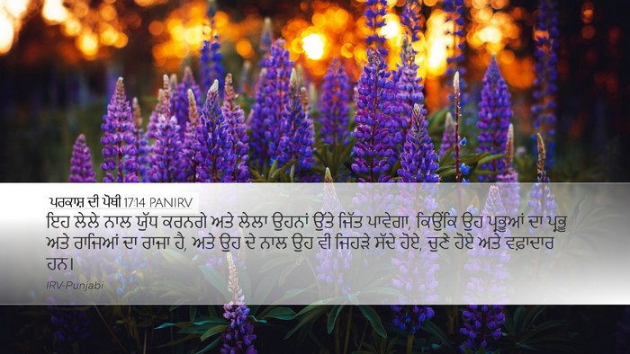 ਪਰਕਾਸ਼ ਦੀ ਪੋਥੀ 17:14 PANIRV Bible Verse Image