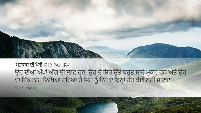 ਪਰਕਾਸ਼ ਦੀ ਪੋਥੀ 19:12 PANIRV Bible Verse Image