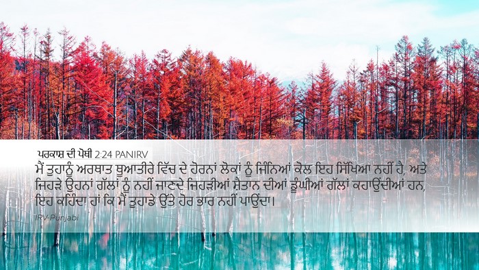 ਪਰਕਾਸ਼ ਦੀ ਪੋਥੀ 2:24 PANIRV Bible Verse Image