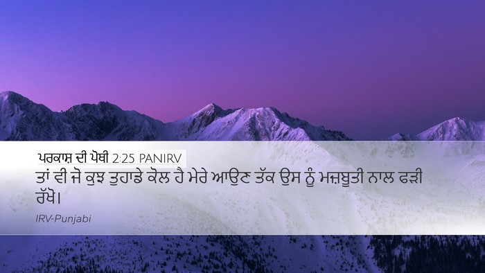 ਪਰਕਾਸ਼ ਦੀ ਪੋਥੀ 2:25 PANIRV Bible Verse Image