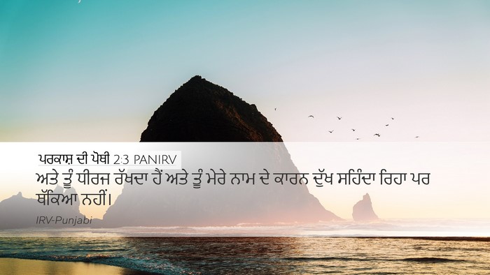 ਪਰਕਾਸ਼ ਦੀ ਪੋਥੀ 2:3 PANIRV Bible Verse Image