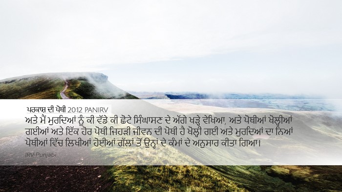 ਪਰਕਾਸ਼ ਦੀ ਪੋਥੀ 20:12 PANIRV Bible Verse Image