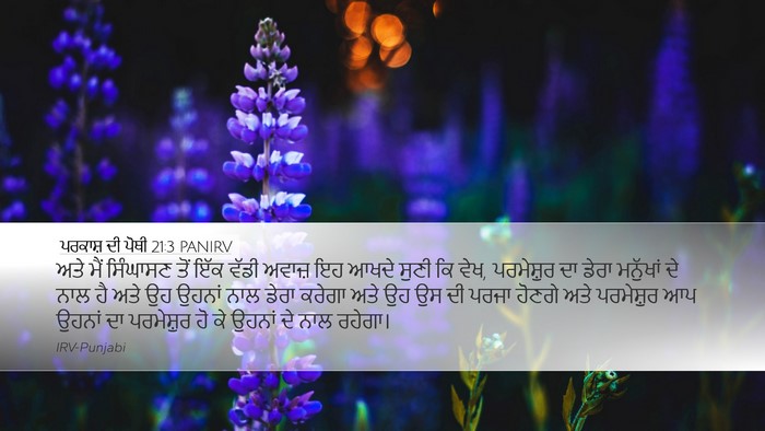 ਪਰਕਾਸ਼ ਦੀ ਪੋਥੀ 21:3 PANIRV Bible Verse Image