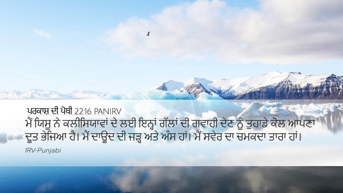 ਪਰਕਾਸ਼ ਦੀ ਪੋਥੀ 22:16 PANIRV Bible Verse Image