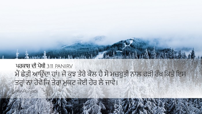 ਪਰਕਾਸ਼ ਦੀ ਪੋਥੀ 3:11 PANIRV Bible Verse Image