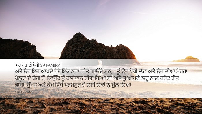 ਪਰਕਾਸ਼ ਦੀ ਪੋਥੀ 5:9 PANIRV Bible Verse Image
