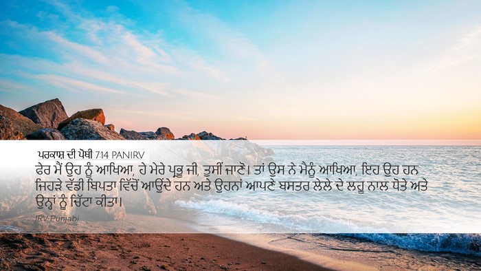 ਪਰਕਾਸ਼ ਦੀ ਪੋਥੀ 7:14 PANIRV Bible Verse Image