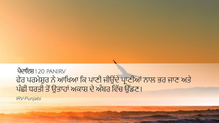ਪੈਦਾਇਸ਼ 1:20 PANIRV Bible Verse Image