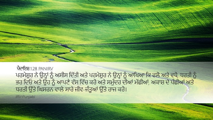 ਪੈਦਾਇਸ਼ 1:28 PANIRV Bible Verse Image