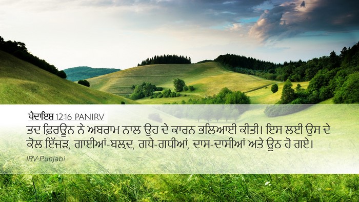 ਪੈਦਾਇਸ਼ 12:16 PANIRV Bible Verse Image