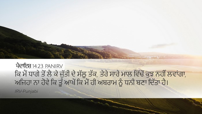 ਪੈਦਾਇਸ਼ 14:23 PANIRV Bible Verse Image