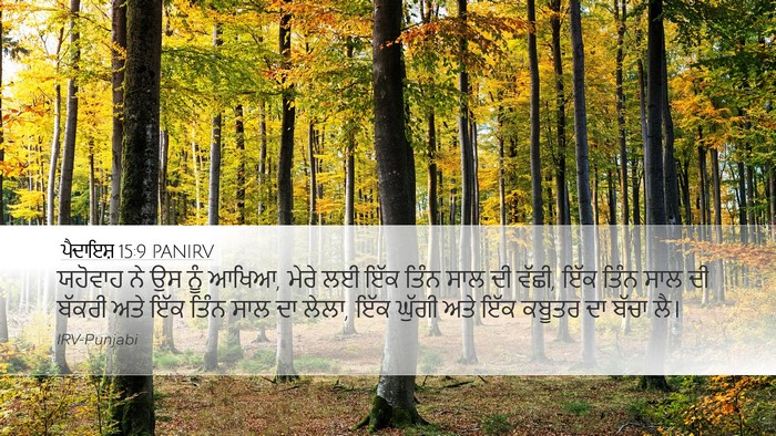 ਪੈਦਾਇਸ਼ 15:9 PANIRV Bible Verse Image