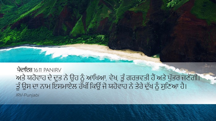 ਪੈਦਾਇਸ਼ 16:11 PANIRV Bible Verse Image