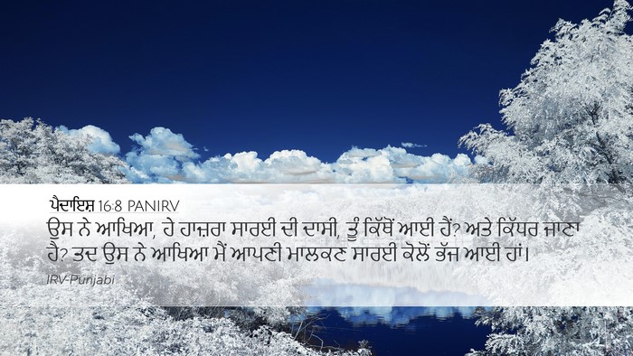ਪੈਦਾਇਸ਼ 16:8 PANIRV Bible Verse Image