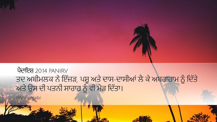 ਪੈਦਾਇਸ਼ 20:14 PANIRV Bible Verse Image