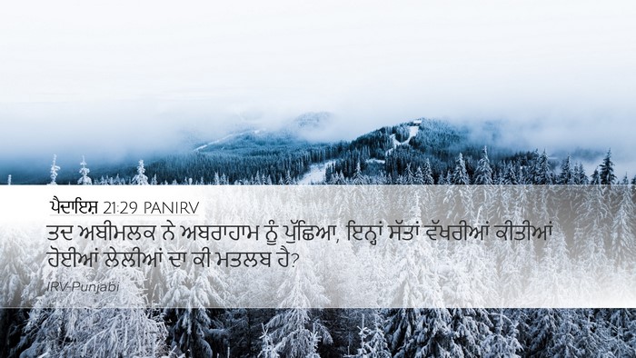 ਪੈਦਾਇਸ਼ 21:29 PANIRV Bible Verse Image