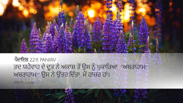 ਪੈਦਾਇਸ਼ 22:11 PANIRV Bible Verse Image
