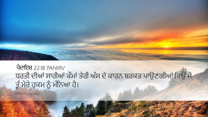 ਪੈਦਾਇਸ਼ 22:18 PANIRV Bible Verse Image