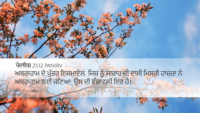 ਪੈਦਾਇਸ਼ 25:12 PANIRV Bible Verse Image