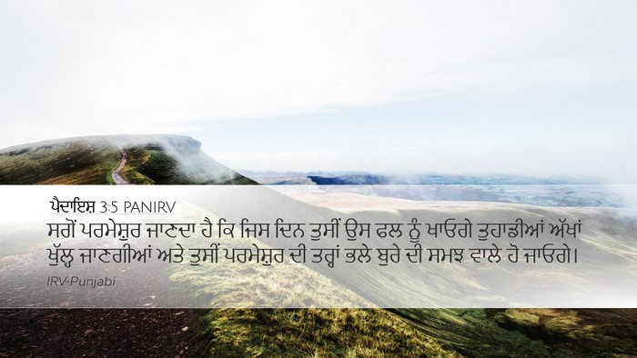 ਪੈਦਾਇਸ਼ 3:5 PANIRV Bible Verse Image