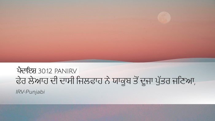 ਪੈਦਾਇਸ਼ 30:12 PANIRV Bible Verse Image
