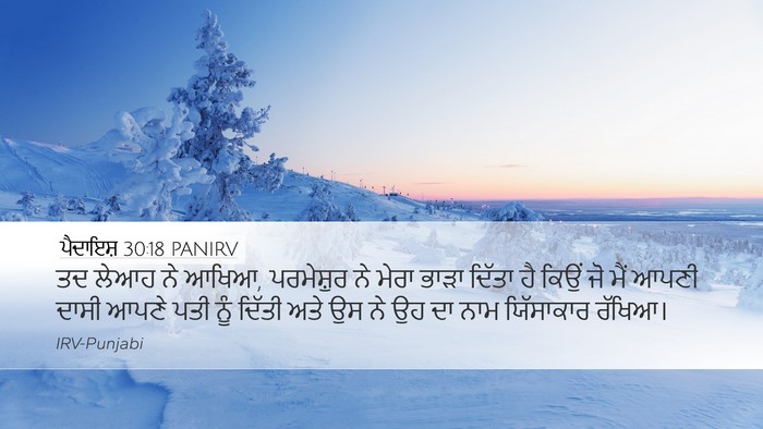 ਪੈਦਾਇਸ਼ 30:18 PANIRV Bible Verse Image