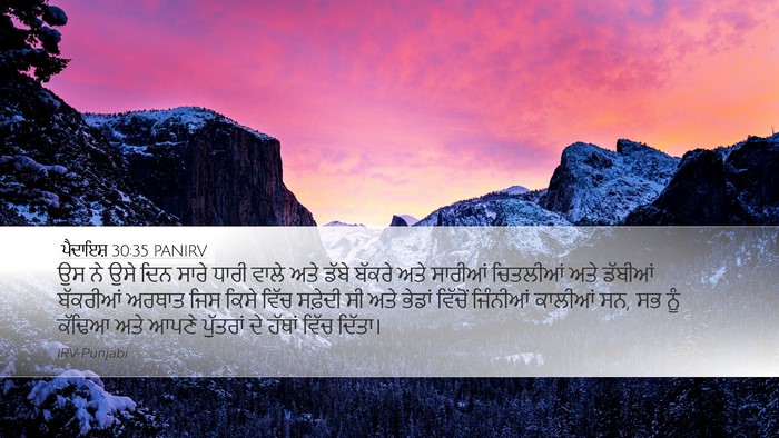 ਪੈਦਾਇਸ਼ 30:35 PANIRV Bible Verse Image