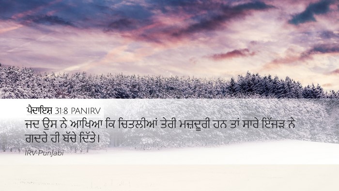 ਪੈਦਾਇਸ਼ 31:8 PANIRV Bible Verse Image