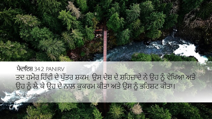ਪੈਦਾਇਸ਼ 34:2 PANIRV Bible Verse Image