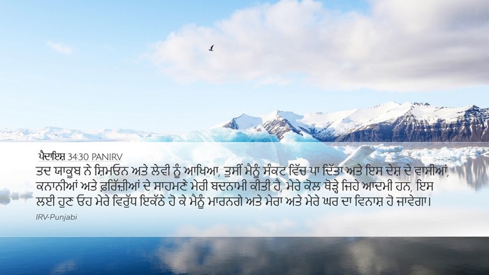 ਪੈਦਾਇਸ਼ 34:30 PANIRV Bible Verse Image
