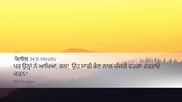 ਪੈਦਾਇਸ਼ 34:31 PANIRV Bible Verse Image