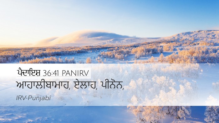 ਪੈਦਾਇਸ਼ 36:41 PANIRV Bible Verse Image