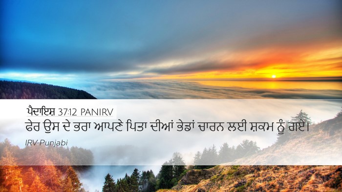 ਪੈਦਾਇਸ਼ 37:12 PANIRV Bible Verse Image