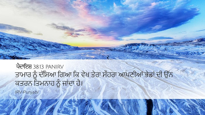 ਪੈਦਾਇਸ਼ 38:13 PANIRV Bible Verse Image