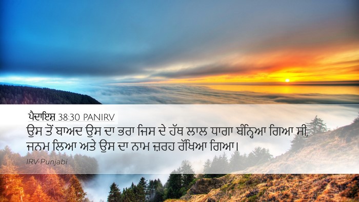 ਪੈਦਾਇਸ਼ 38:30 PANIRV Bible Verse Image