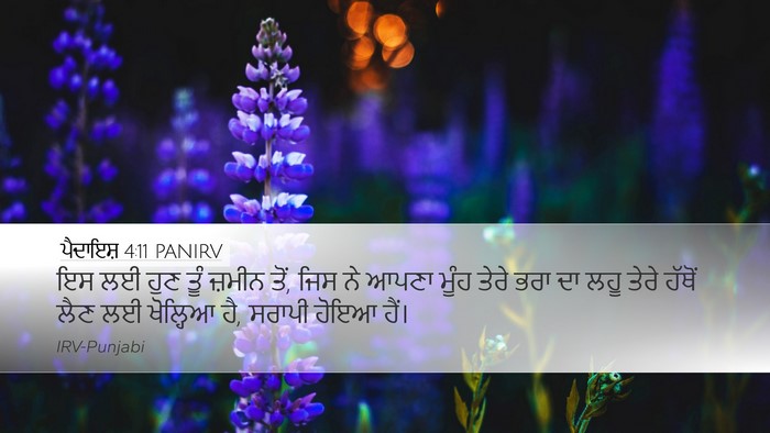 ਪੈਦਾਇਸ਼ 4:11 PANIRV Bible Verse Image