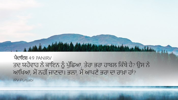 ਪੈਦਾਇਸ਼ 4:9 PANIRV Bible Verse Image