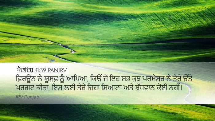 ਪੈਦਾਇਸ਼ 41:39 PANIRV Bible Verse Image